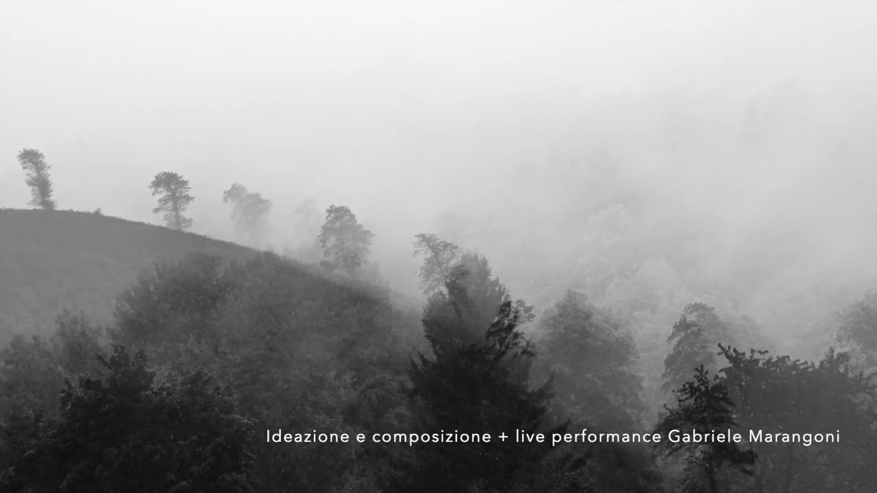 Still from the video: Metamorphosis